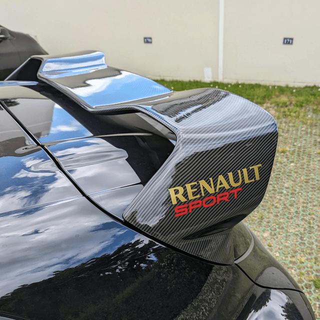 AILERON CUP Carbone look hydrodipping 