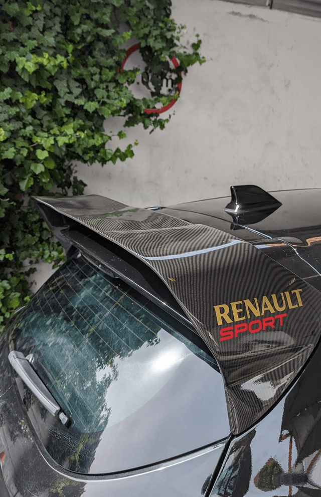 AILERON CUP Carbone look hydrodipping 